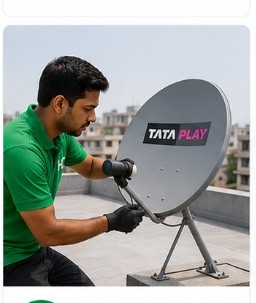 Dish Antenna Setup