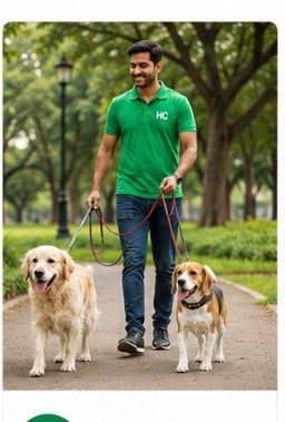 Dog Walking Service