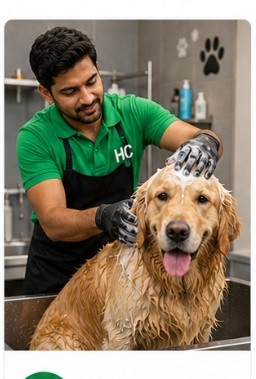 Pet Grooming & Wash