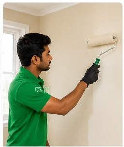 Full Home Wall Painting